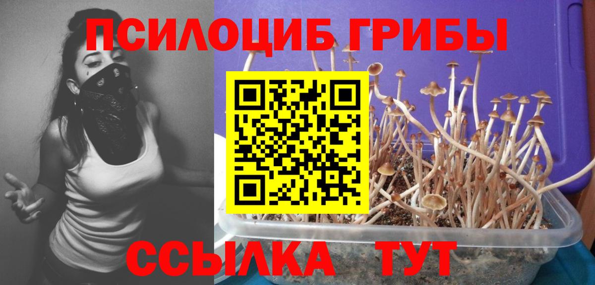 Волжский  Псилоцибиновые грибы GOLDEN TEACHER  Вход с VPN 